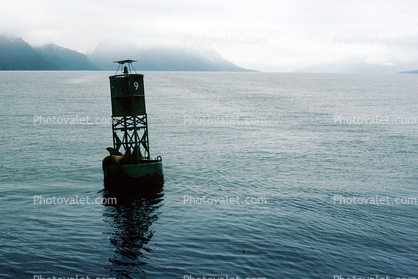 Buoy in Valdez, Alaska