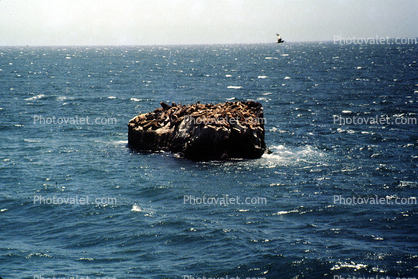 Seal Rock, Pacific Ocean, Whitecaps