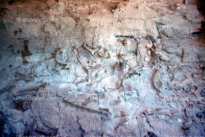 Quarry Visitor Center, Dinosaur National Monument, Utah