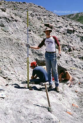 Maiasaurus excavation, Badlands, Montana