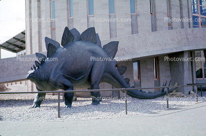 Stegosaurus, Quarry Visitor Center, Dinosaur Quarry building, Sinclair, Mesozoic Era