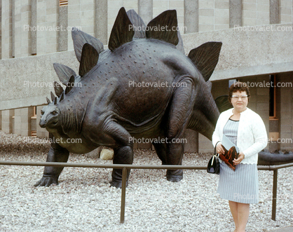 Woman standing, Stegosaurus, Quarry Visitor Center, Dinosaur Quarry building, Sinclair, Mesozoic Era