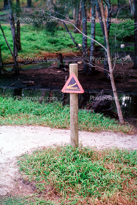 Warning, Crocodiles, sign signage