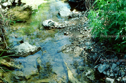 stream, water