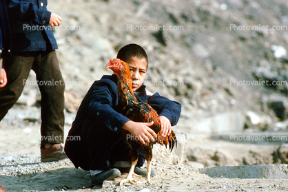 Boy with His Rooster, Tashkent, Uzbekistan