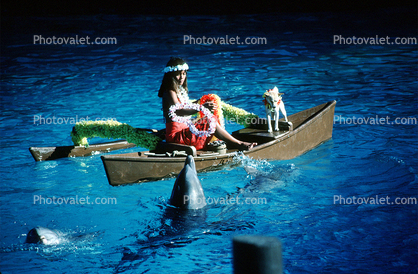 Woman on a Boat, lei, dolphins, outrigger