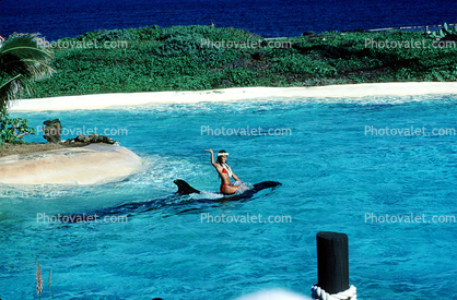 Woman Riding a Dolphin