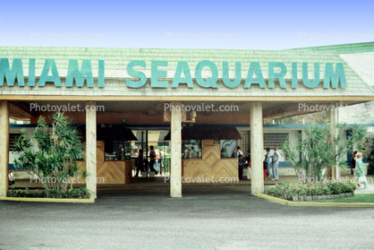 Miami Seaquarium, 1950s