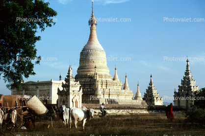 The Mingalazedi Temple, buildings, Stupa, sacred, Bagan