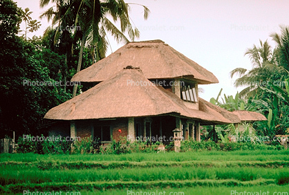 Home, House, building, Grass thatched roof, Sod
