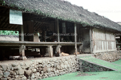 building, grass thatched roof, village, Hindu temple, path, Tenganan Bali, Sod