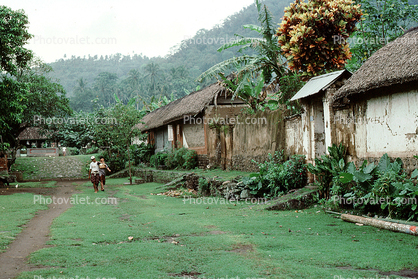 building, grass thatched roof, village, homes, path, Tenganan Bali, Sod