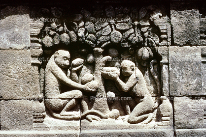 Monkey, Hanuman, trees, stone carving, bar-relief, Bordbudur Temple building
