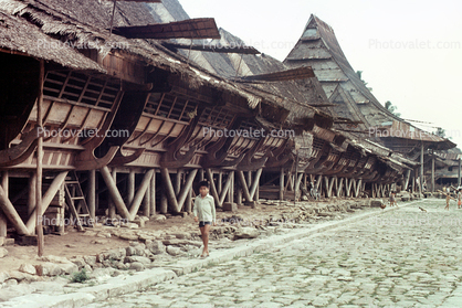 grass thatched houses, buildings, stilts, Nias, Sod