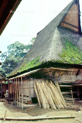 Moss, grass thatched roof house, building, Batak, Sod