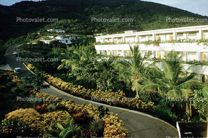 palm trees, hotel