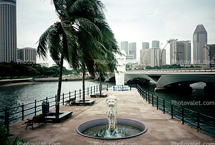 Fountain, Palm Trees, Bridge, Merlion Statue Singapore, Skyline, Buildings, Skyscrapers, Downtown