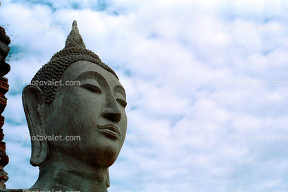 Buddha Head, Ears, Statue, Ayutthaya Historical Park