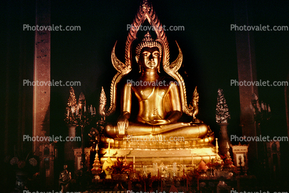 Golden Buddha Statue, shrine, altar