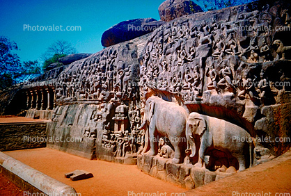 Elephant, Wall Carvings, New Delhi, 1950s