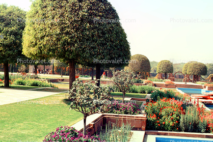 Moghul Gardens, Flowers, Manicured Trees, Delhi