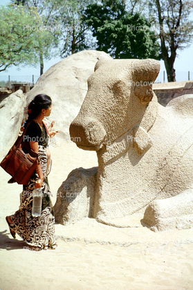 Cow, Stone Carving, Mahabalipuram, Tamil Nadu, India