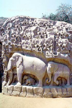 Arjuna's Penance (The Descent of Ganga), Stone Carving, Mahabalipuram, Tamil Nadu, bar-Relief