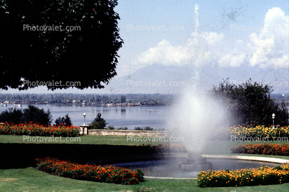 Water Fountain, aquatics, Kashmir