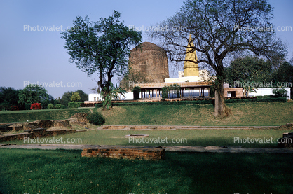 Lost City, Banaras, Temple, Trees, Lawn