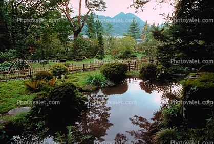 Peaceful Pond, Lake, garden, Nikko
