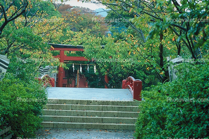 Kamakura, steps, footbridge, trees, Torii Gate