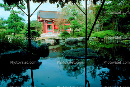 Garden, pond, stone, rocks, water, trees, Buddhist Shrine, Gotemba
