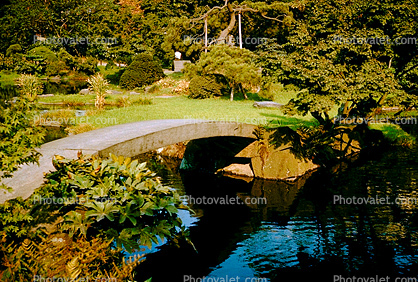 arch foot bridge, Gardens, 1950s