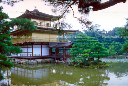 Golden Temple, sacred place, palace, shrine, Kyoto