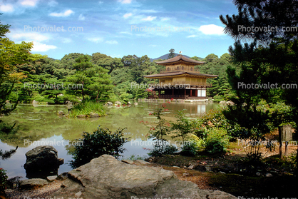 Golden Temple, Forest, Lake, Moat, Kyoto