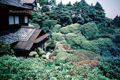 Gardens, plants, building, houses, homes, Beppu