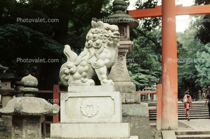 Dragon, Torii Gate