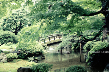 Gardens, arch, Taiko arch bridge, footbridge, trees, manicured bushes
