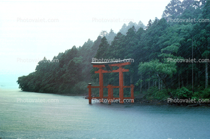Torii Gate, Lake, Trees, Shoreline, rain, fog