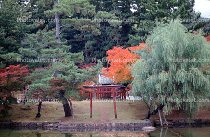 Gardens, Nara, Torii Gate
