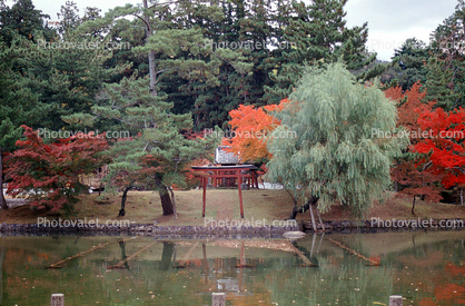 Gardens, Nara, Torii Gate