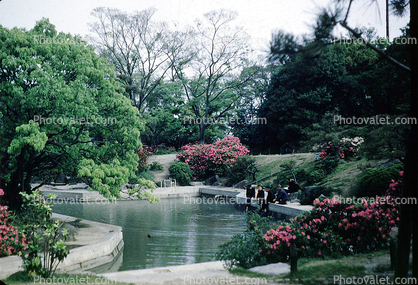 Pond, trees, flowers, Garden in Castle Grounds, Osaka, April 1952