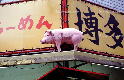 Pink Pig, Ginza, Tokyo