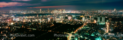 Nighttime Tokyo Panorama