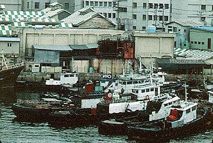 Tugboats, harbor