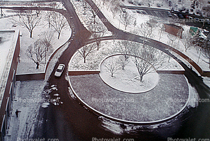 Bare Trees in the round, circle