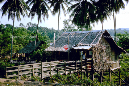 Coca-cola sign, signage, building, store, grass thatched hut, tin roof, Bukit Besi, 1950s