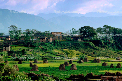 Hay Mounds, fields, homes, houses, trees, mountains, Kathmandu