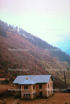 Building, trees, hillside, Shin Gompa, Himalayan Mountains