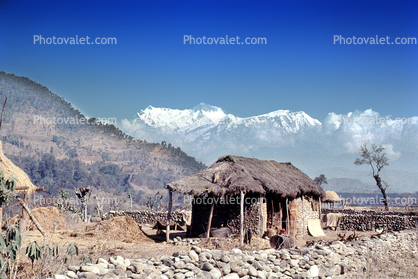 Thatched Roof House, Home, grass roof, Annapurna Sancuary, Sod